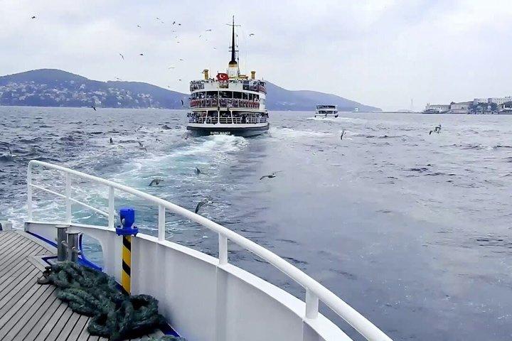 イスタンブール諸島水泳ツアー(ランチとボートクルーズ付き)