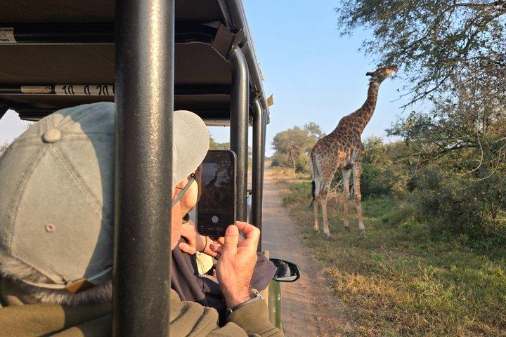 Safari de 3 dias no Kruger Park saindo de Maputo (veículo safari aberto)