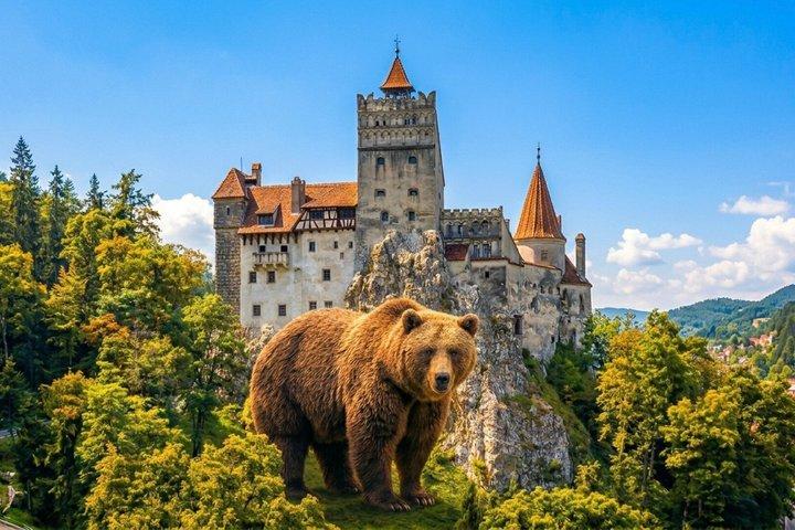 Björnarnas helgedom, Draculas slott och Brașov City, Liten grupp 7 p