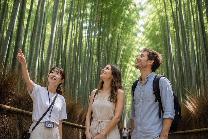 Excursão privada em Kyoto Early Morning Arashiyama Bamboo Forest