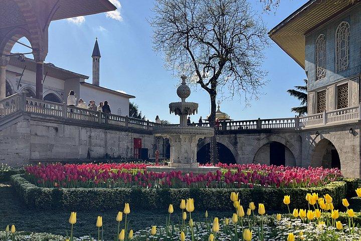 Visite guidée privée d'Istanbul : sans file d'attente