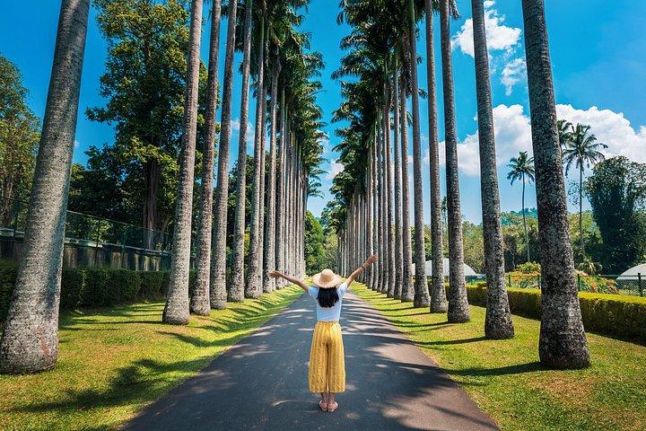 聖なるエコーとお茶のキスピーク 4日間の旅