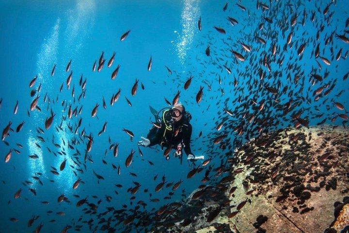PADI Descubra Mergulho para Iniciantes em Ouranoupoli | Chalkidiki | Grécia