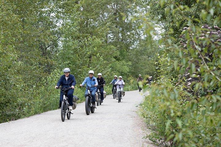 ケロウナEバイクガイド付き市内ハイライトツアー