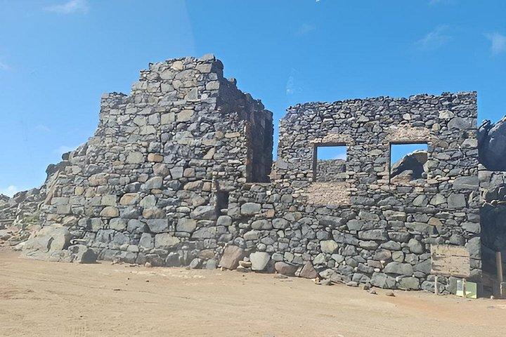 Half Day Private Island Tour in Aruba