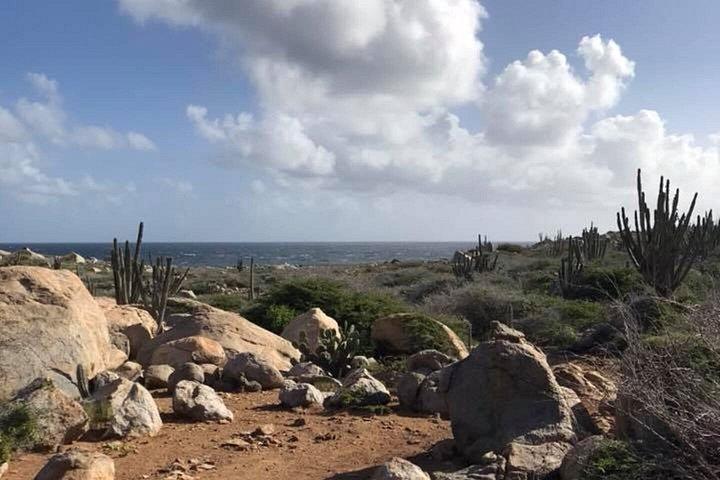 Aruba Customized eco friendly Private Island Tour