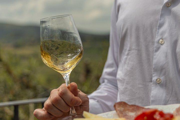Wine, Gelato & Cheese in San Gimignano from Florence [MAX 8pp]