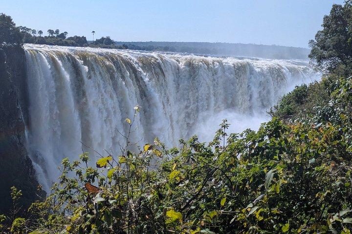 Victoria Falls Guided Tour & Viewpoints Experience