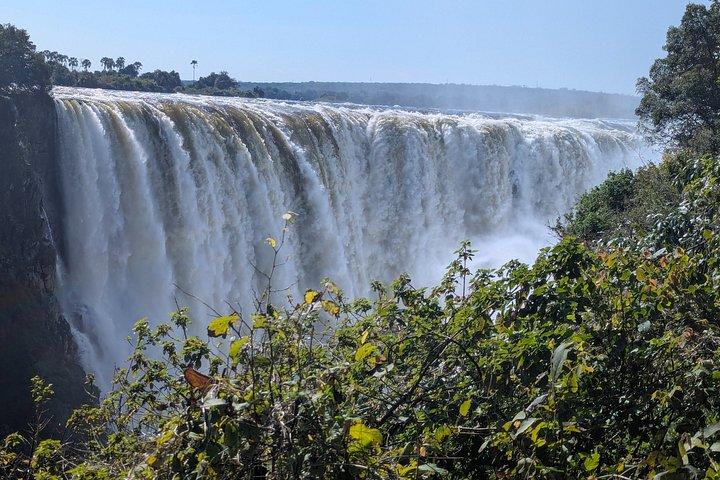 Victoria Falls Guided Tour & Viewpoints Experience
