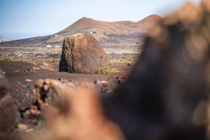 少人数グループでの火山自然公園でのトレッキング