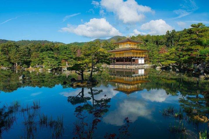 京都・奈良日帰りツアー：金閣寺・伏見稲荷・奈良鹿公園
