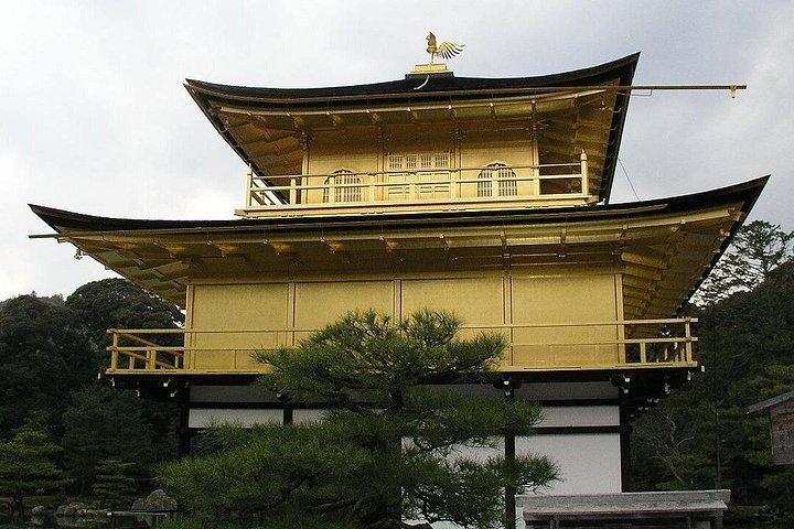 京都・奈良日帰りツアー：金閣寺・伏見稲荷・奈良鹿公園