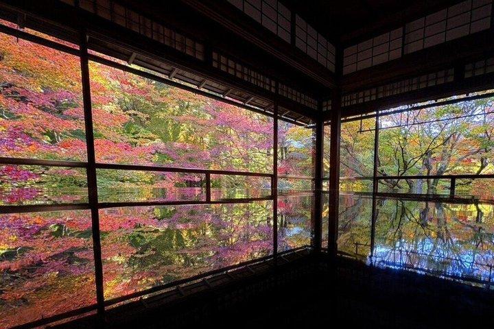 京都・奈良日帰りツアー：金閣寺・伏見稲荷・奈良鹿公園