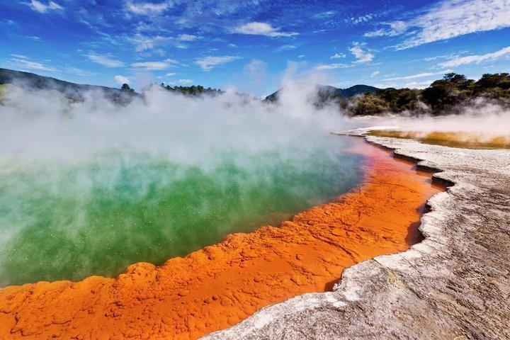 Rotorua Highlights Tour: WaiOTapu, Ziplining, Lunch från Auckland