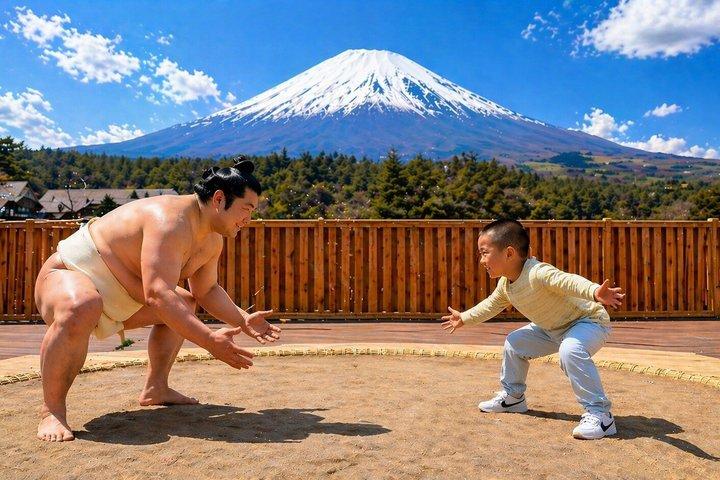 相撲ライブ体験で東京から富士山観光ツアー