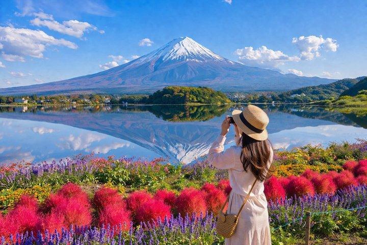 相撲ライブ体験で東京から富士山観光ツアー