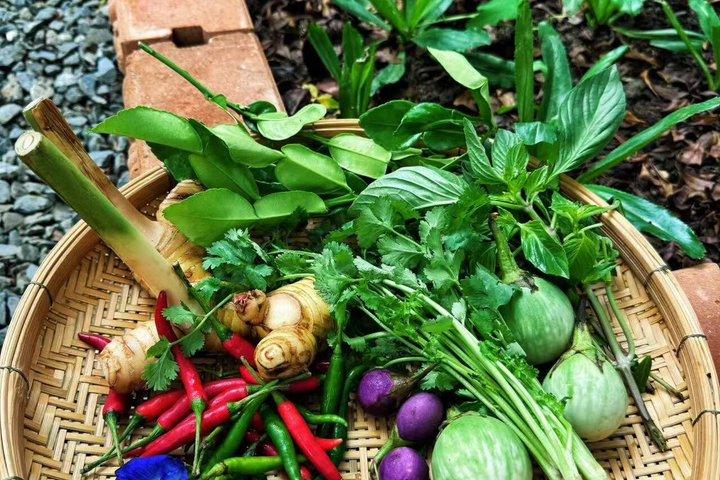 Phuket Seasoning Thai Cooking Class 4 Authentic Dishes