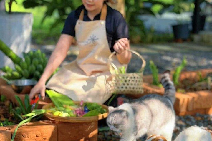 Phuket Seasoning Thai Cooking Class 4 Authentic Dishes