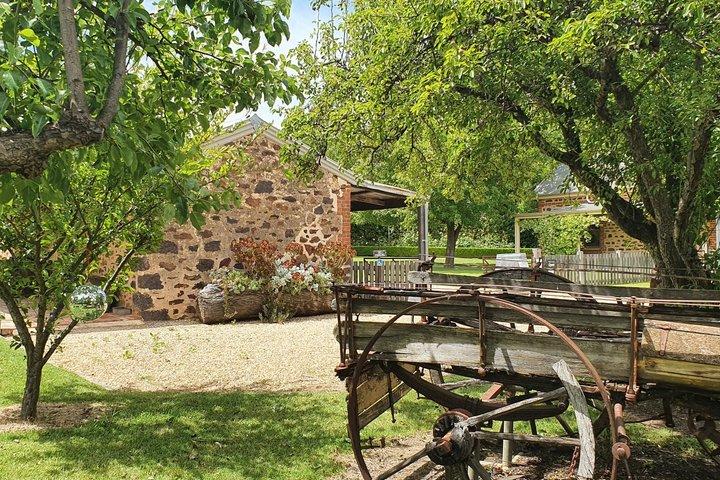 Barossa Valley Shared Tour with Wine Tasting and Lunch