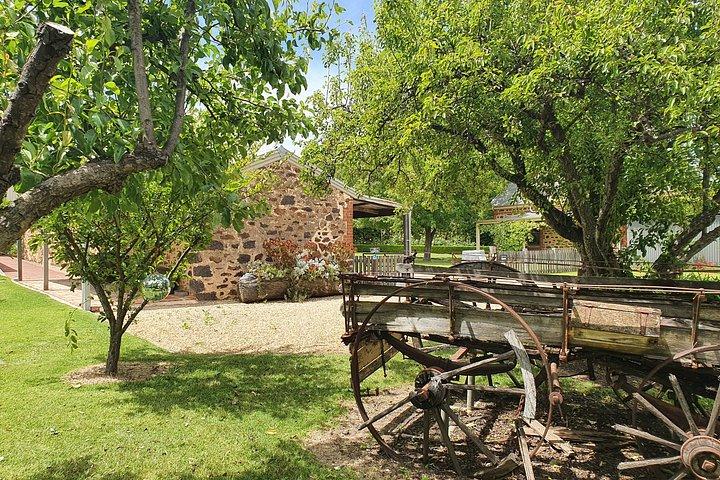 Barossa Valley Shared Tour with Wine Tasting and Lunch