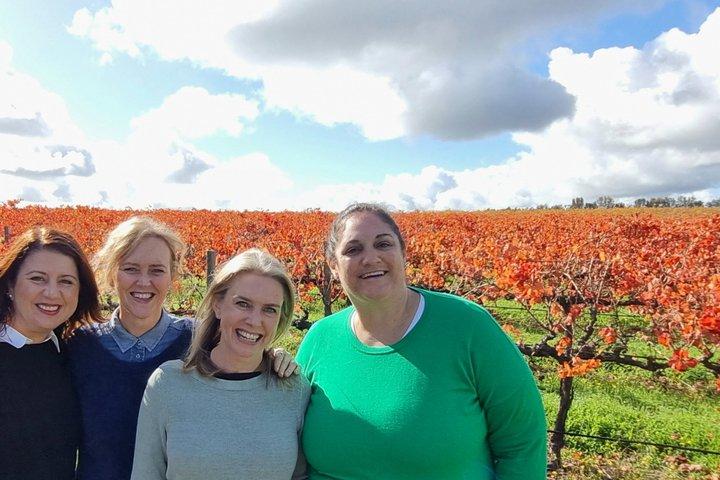 McLaren Vale Small Shared Tour with Wine Tasting and Lunch