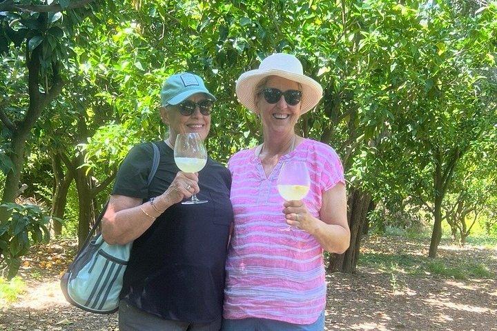 Cooking Class in a Typical Sorrento Garden