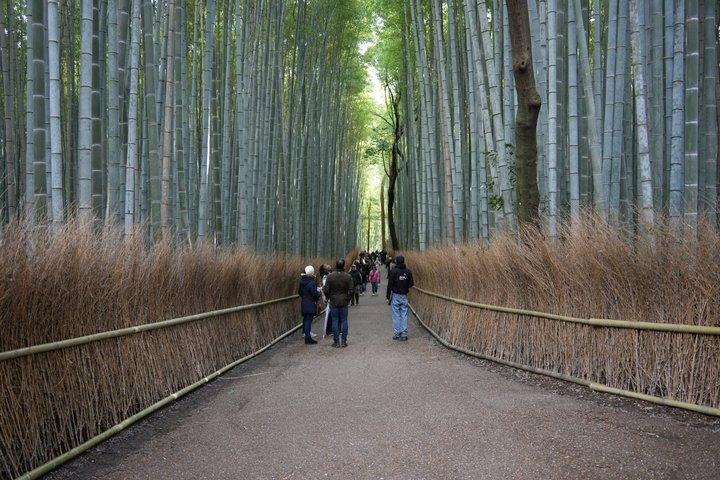 Tour Privado de Kioto Nijo Arashiyama y Fushimi Inari EN y ES