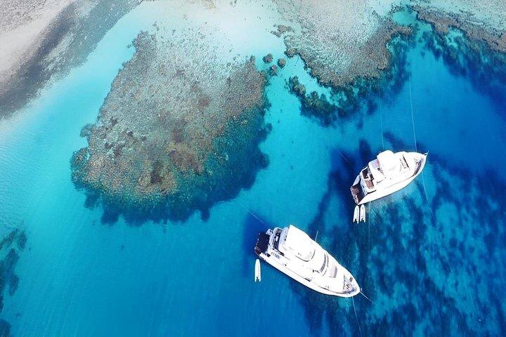 Orange Bay Island "Maldiverna i Egypten" Snorkling och vattenaktiviteter