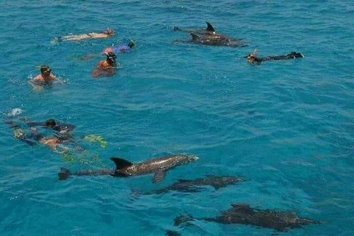 Barca privata , pesca , snorkeling , delfini e pranzo – Hurghada