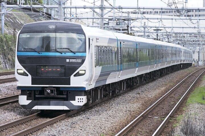 Kawazu Cherry Blossom Sightseeing Tour from Tokyo by Train