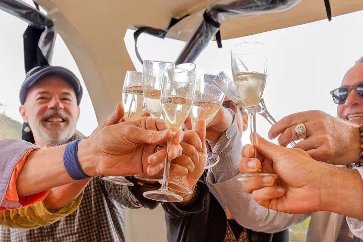 ポルトから：2つのワイナリーでの試飲、シェフランチ、ボートツアー