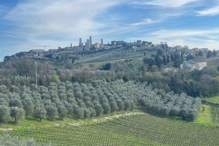 Vin, gelato & ost i San Gimignano fra Firenze [MAX 8pp]