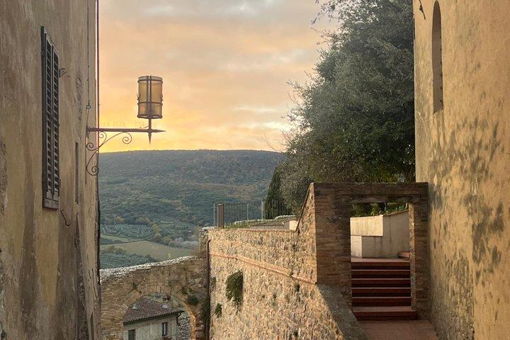 Vin, gelato & ost i San Gimignano fra Firenze [MAX 8pp]