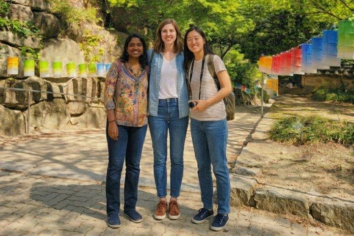 Tempio di Busan Beomeosa e Tempio di Hongbeopsa con pranzo Bibimbap