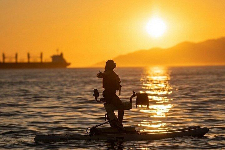 ゴールデンアワー・サンセットツアースタンレーパークと水上バイク