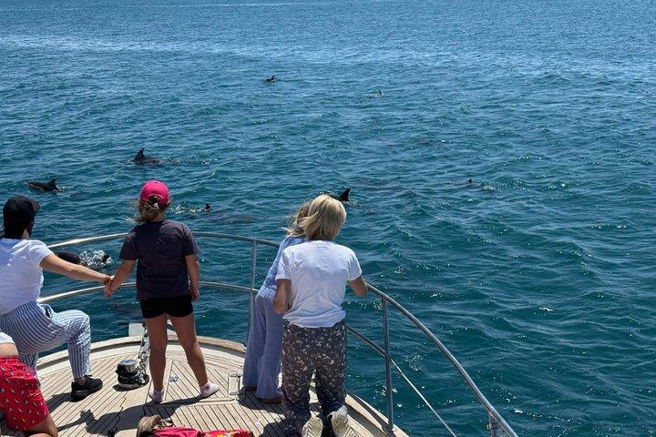 エステポナのプライベートヨットツアー：イルカウォッチング、水泳、そしてリラクゼーション