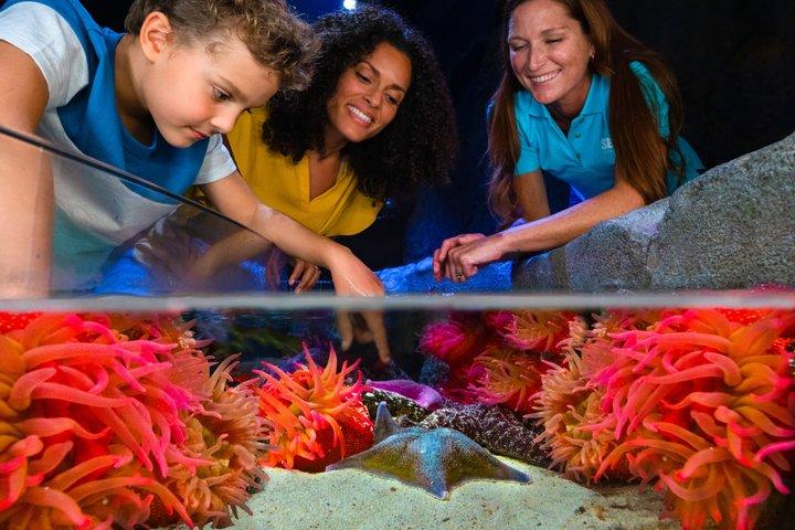 Ultimate Central Florida Attraction Pass : 7 meilleures attractions