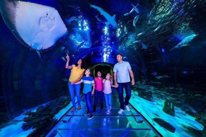 Ultimate Central Florida Attraction Pass : 7 meilleures attractions