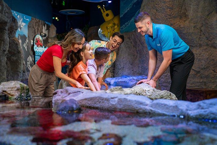 Ultimate Central Florida Attraction Pass : 7 meilleures attractions