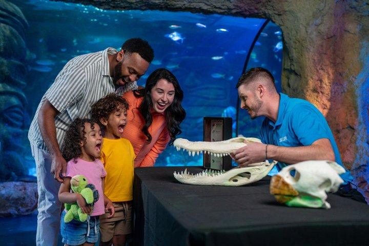 Ultimate Central Florida Attraction Pass : 7 meilleures attractions
