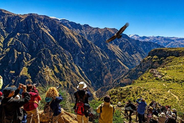 Arequipa to Puno via Colca Canyon 2 days with hotel