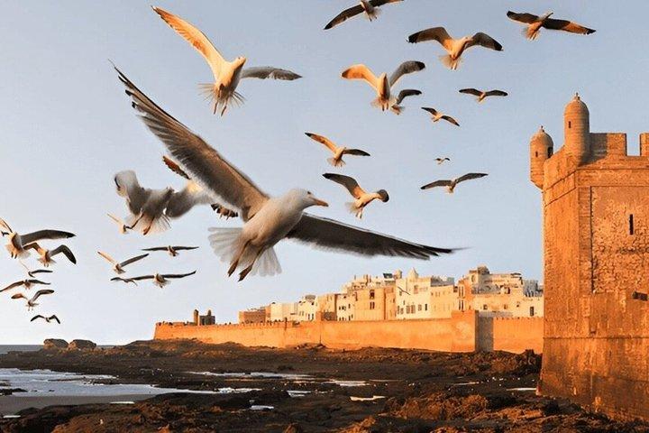 Marrakech: Day Trip to Essaouira ( Mogador )