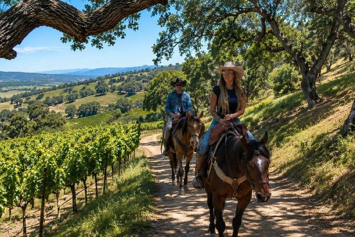 Private Horseback Riding and Wine Tasting Tour