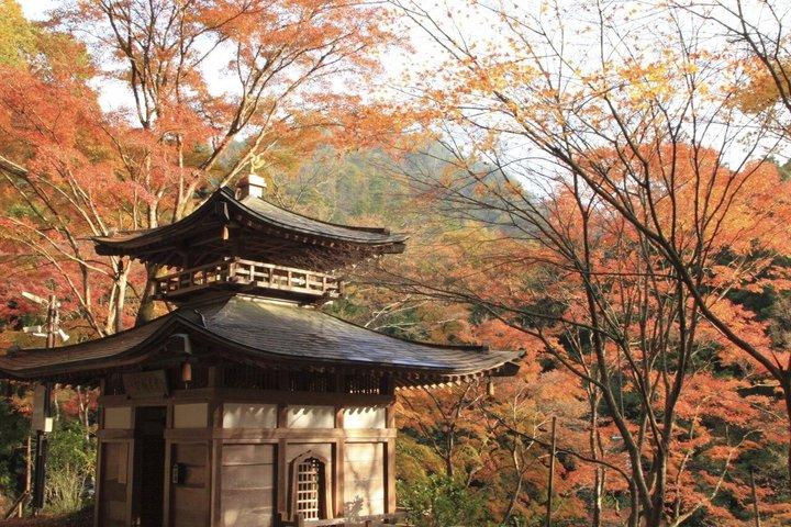 京都桂川ボートアドベンチャー in 嵐山
