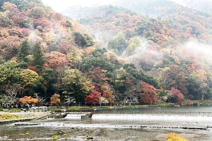 京都の風光明媚な西を縦断 - 嵐山から金閣寺まで
