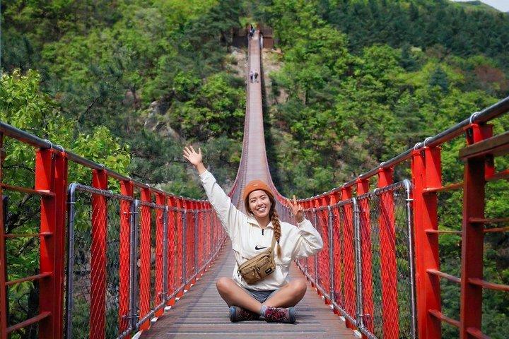 Tour guidato DMZ e deflettore/ponte sospeso Nord Coreano