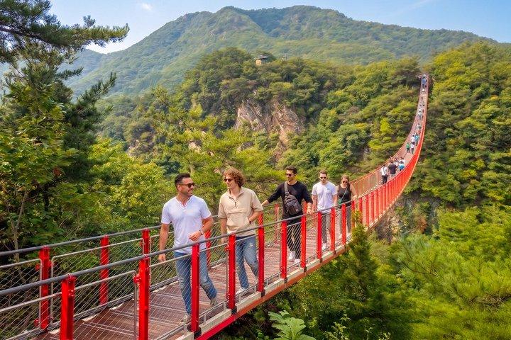 DMZ con ponte sospeso