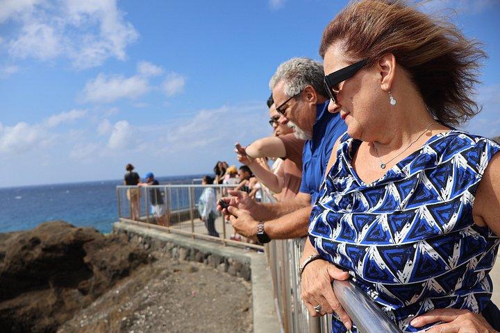 Circle Island on Oahu Full Day Excursion