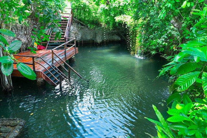 Punta Cana: Monkey Park, Farm & Cenote Swim Full Combo
