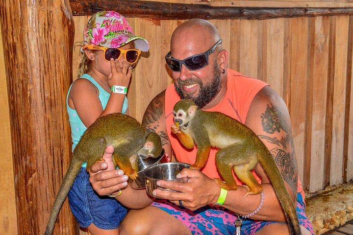 Punta Cana: Monkey Park, Farm & Cenote Swim Full Combo